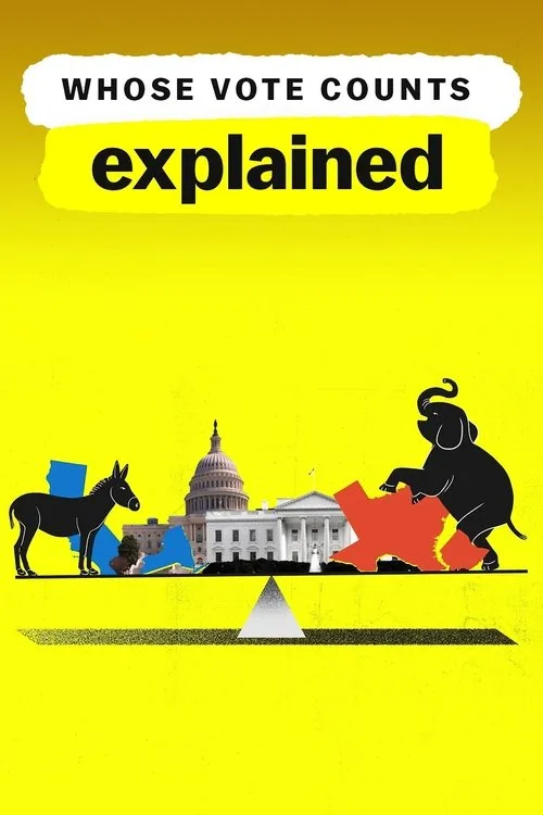 Whose Vote Counts, Explained (2020) poster