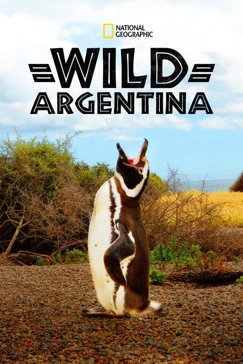 Wild Argentina (2017) poster