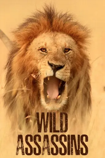 Wild Assassins (2023) poster