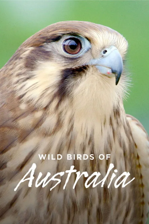 Watch Wild Birds of Australia (2016) online free - poster