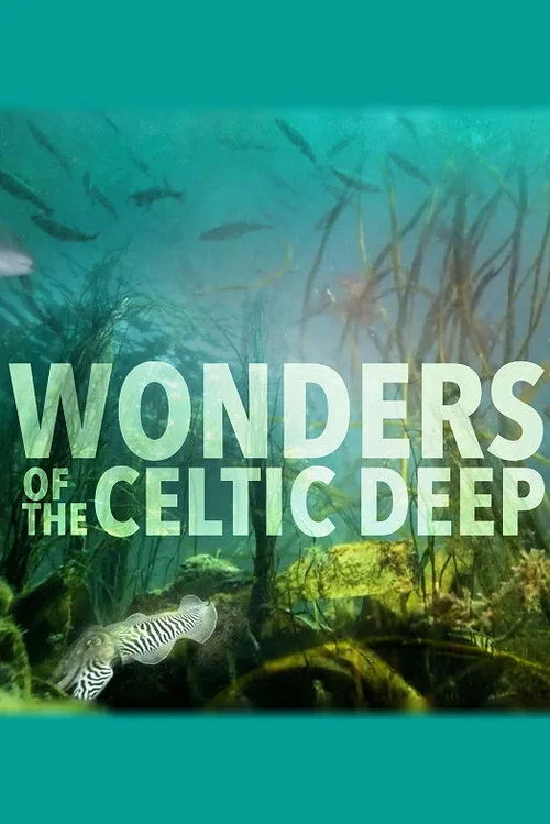 Wonders of the Celtic Deep (2021) poster